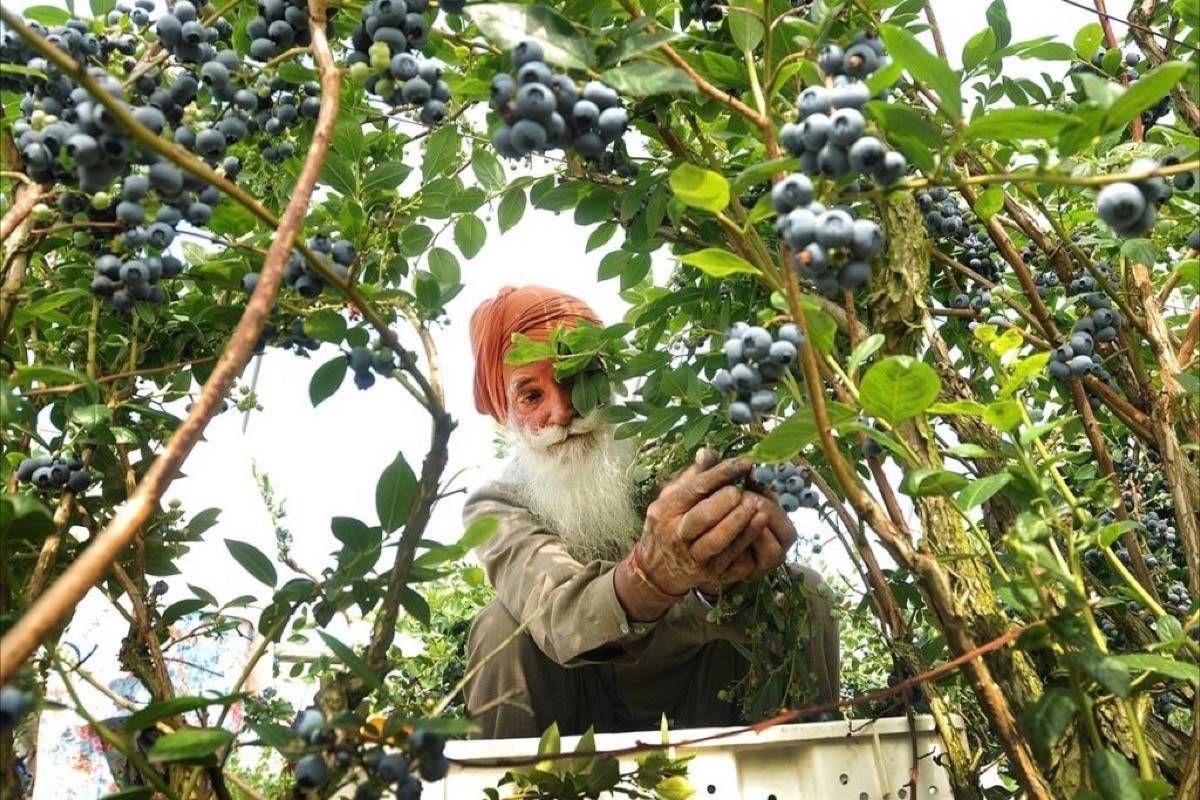Farm workers To Get 2.8 Percent Rate Increase On January 1