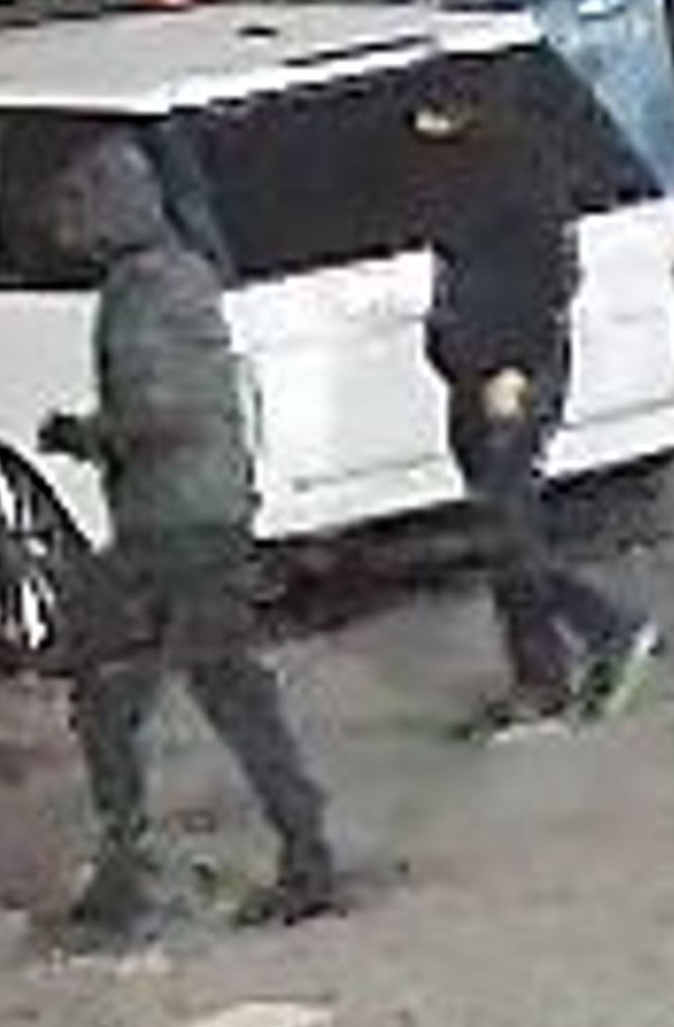Another Extortion Bid Targeting Indo-Canadian Businesses Leads To Arson Attempt And Shots Fired In Surrey-Port Kells