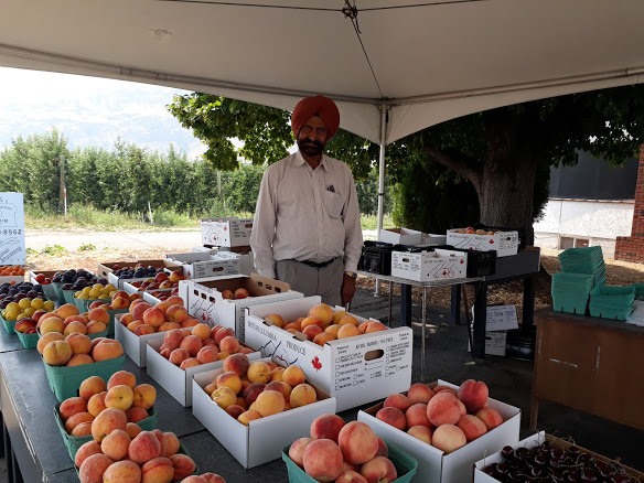 Sikhs Of Oliver: Hardworking, Proud To Be Part Of Bc Wine Country’s Flourishing Community