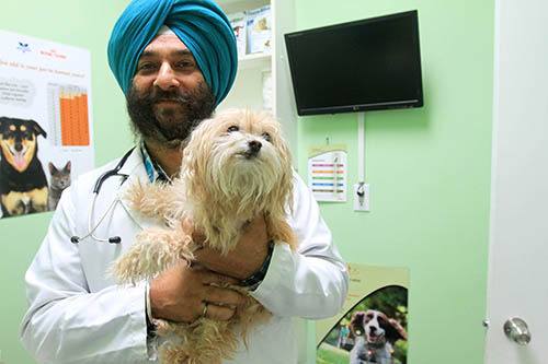 Indo-canadian Veterinarians File Lawsuits After College Refuses To Pay Award Ordered By Bc Human Rights Tribunal