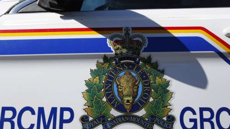 Indo-canadian Man From Surrey Charged With Impersonating A Cop