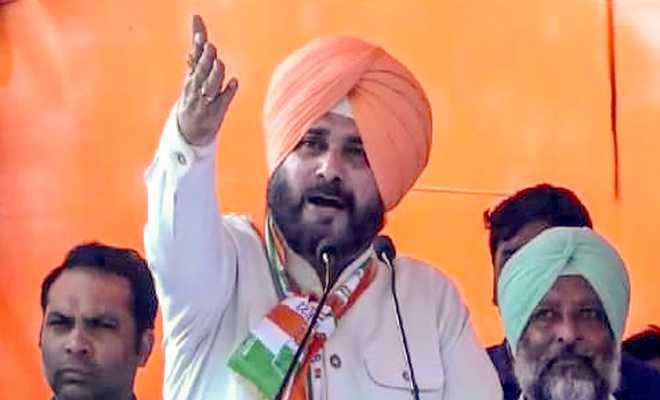 Congress Dominates In Punjabb By Winning 8 Out Of 13 Seats
