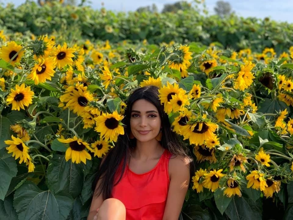 Premier Horgan Mourns Iran Plane Crash Victims Including 63 Canadians