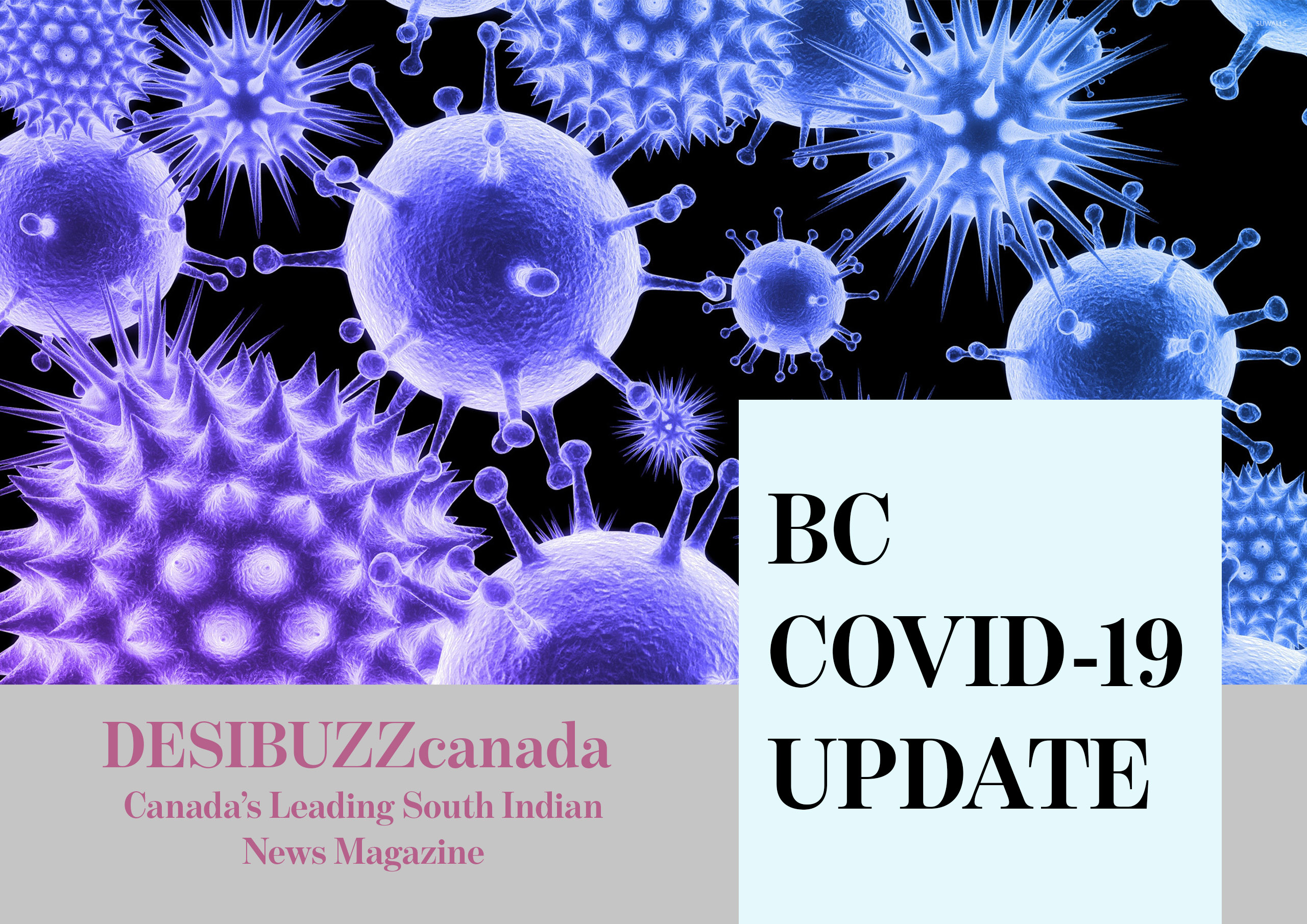 BC COVID-19 DAILY UPDATE: Cases Remain Low For Another Week As Reopening Accelerates