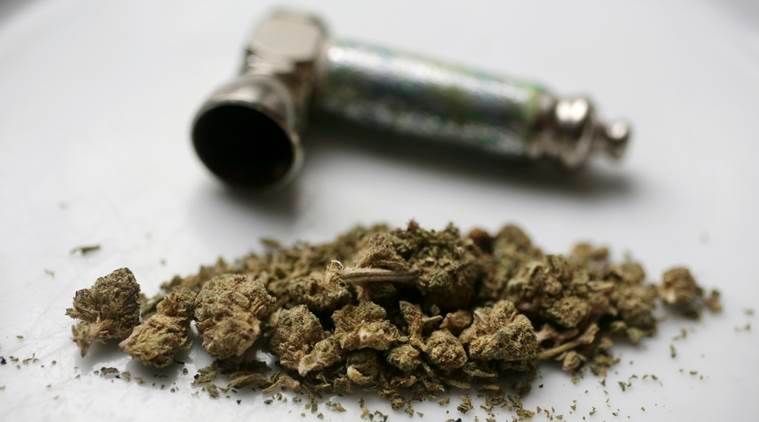 Indian Truck Driver Arrested In US On Charges Of Smuggling Marijuana From Canada