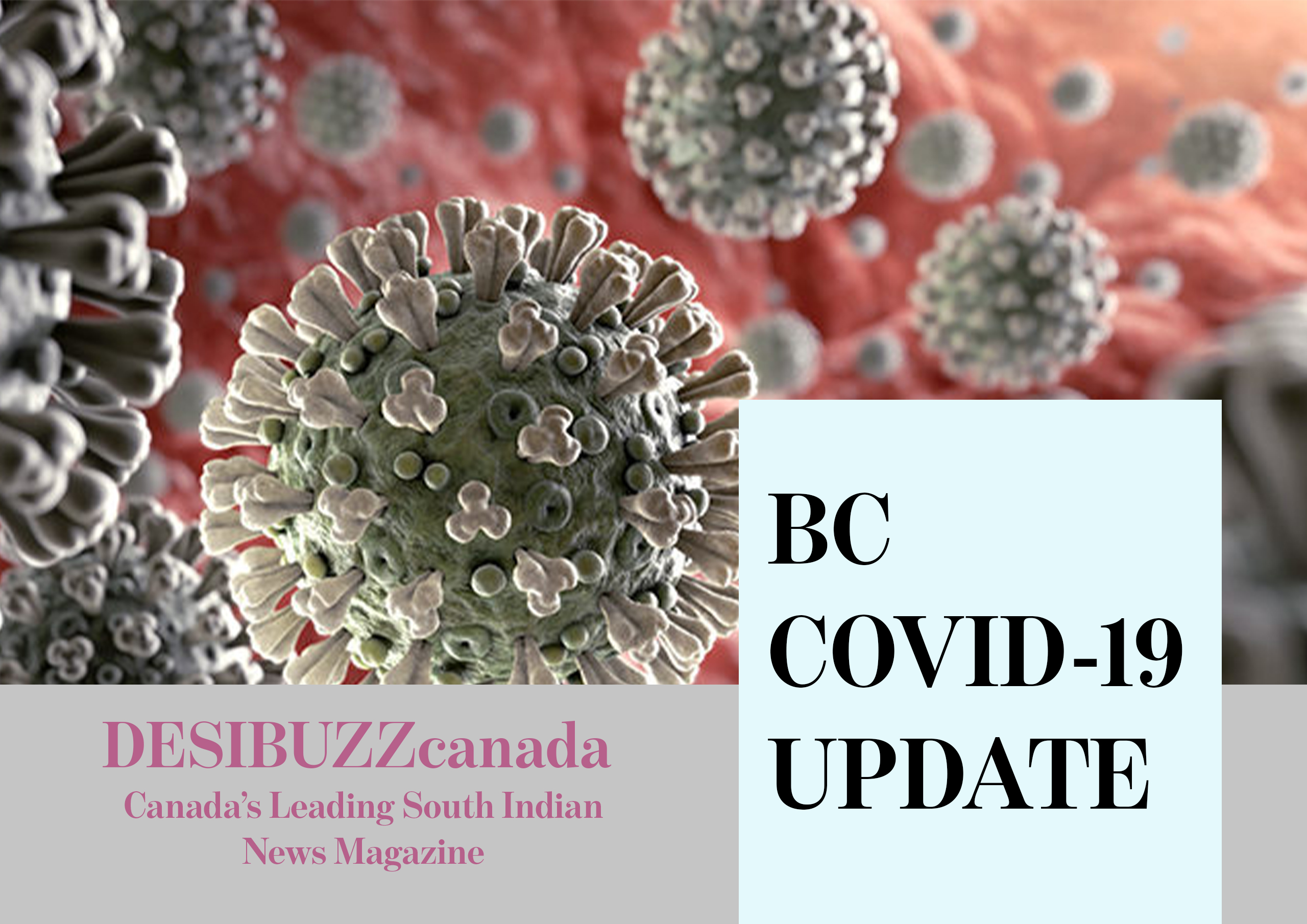 BC COVID-19 DAILY UPDATE: BC Has Flattened The Curve And Then Some As Cases Remain Low