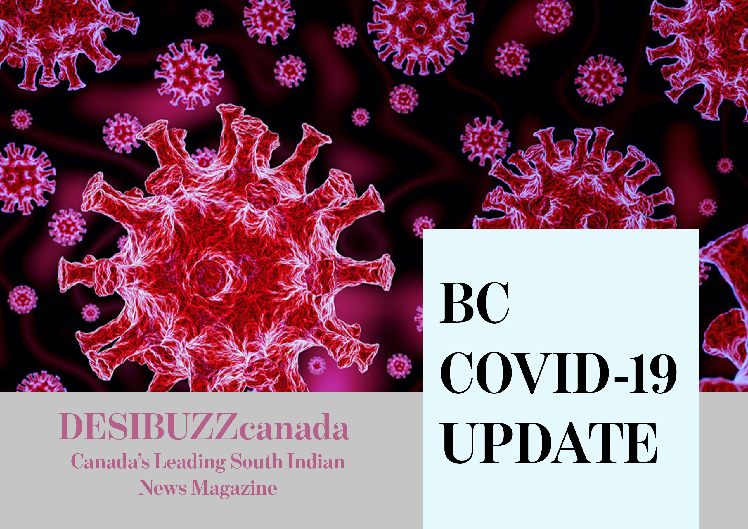 BC COVID-19 DAILY UPDATE: New Week Begins On A Good Note With The Usual Low Cases