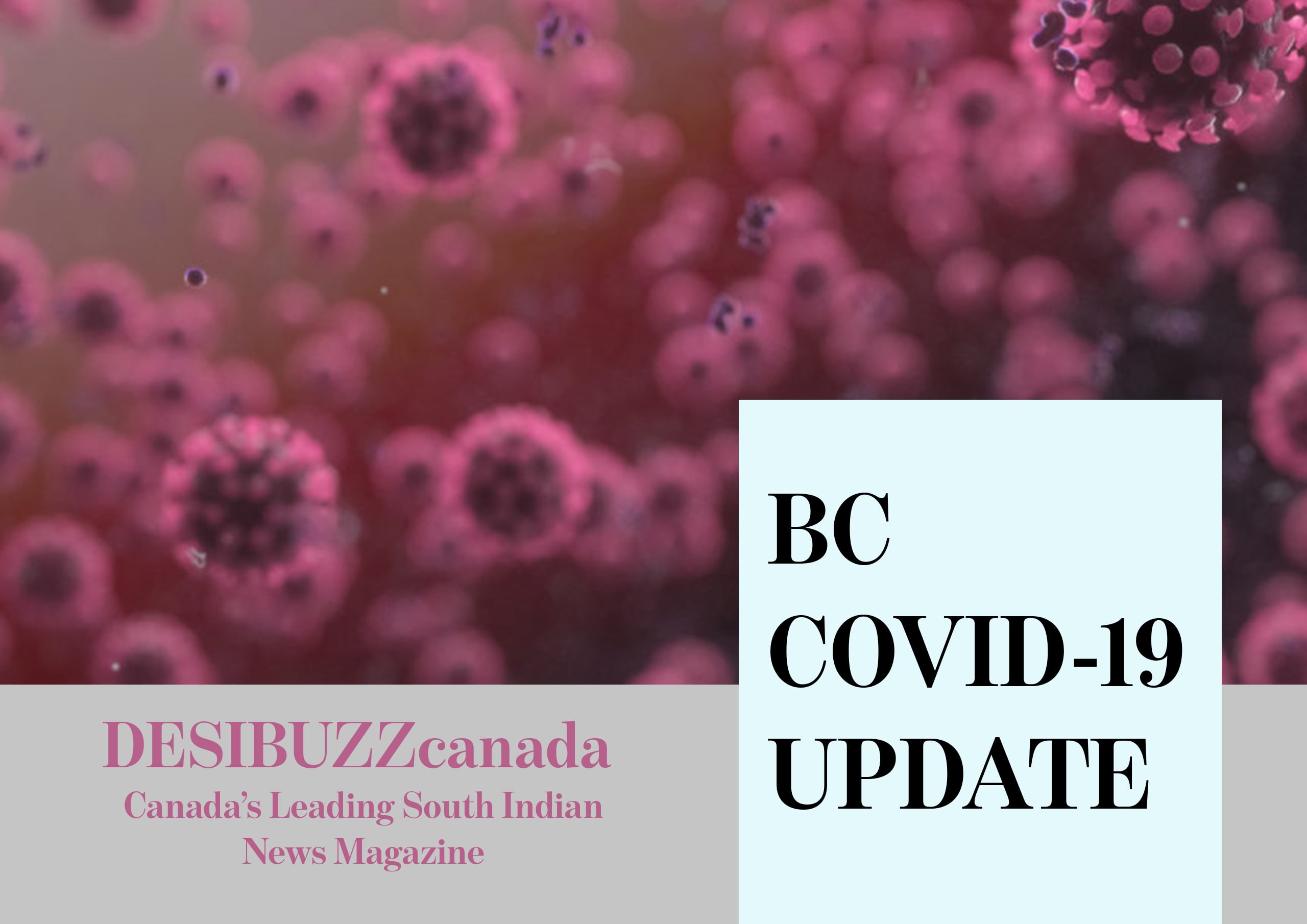 BC COVID-19 DAILY UPDATE: BC’s Panic Closing Of Banquet Halls And Night Clubs Justified As Daily Cases Remain High