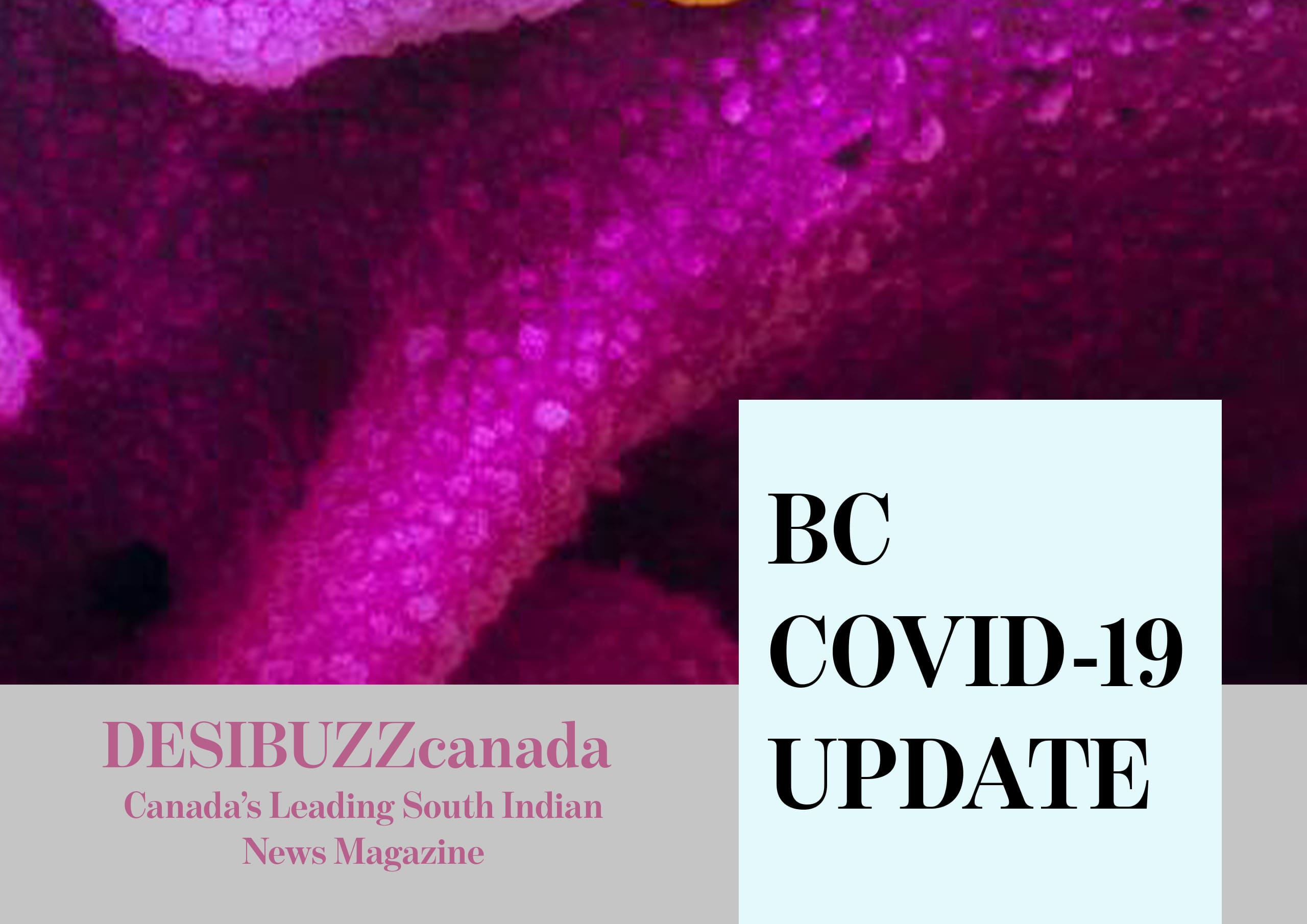BC COVID-19 DAILY UPDATE: Another Near 300 Cases And Three New Deaths Tuesday