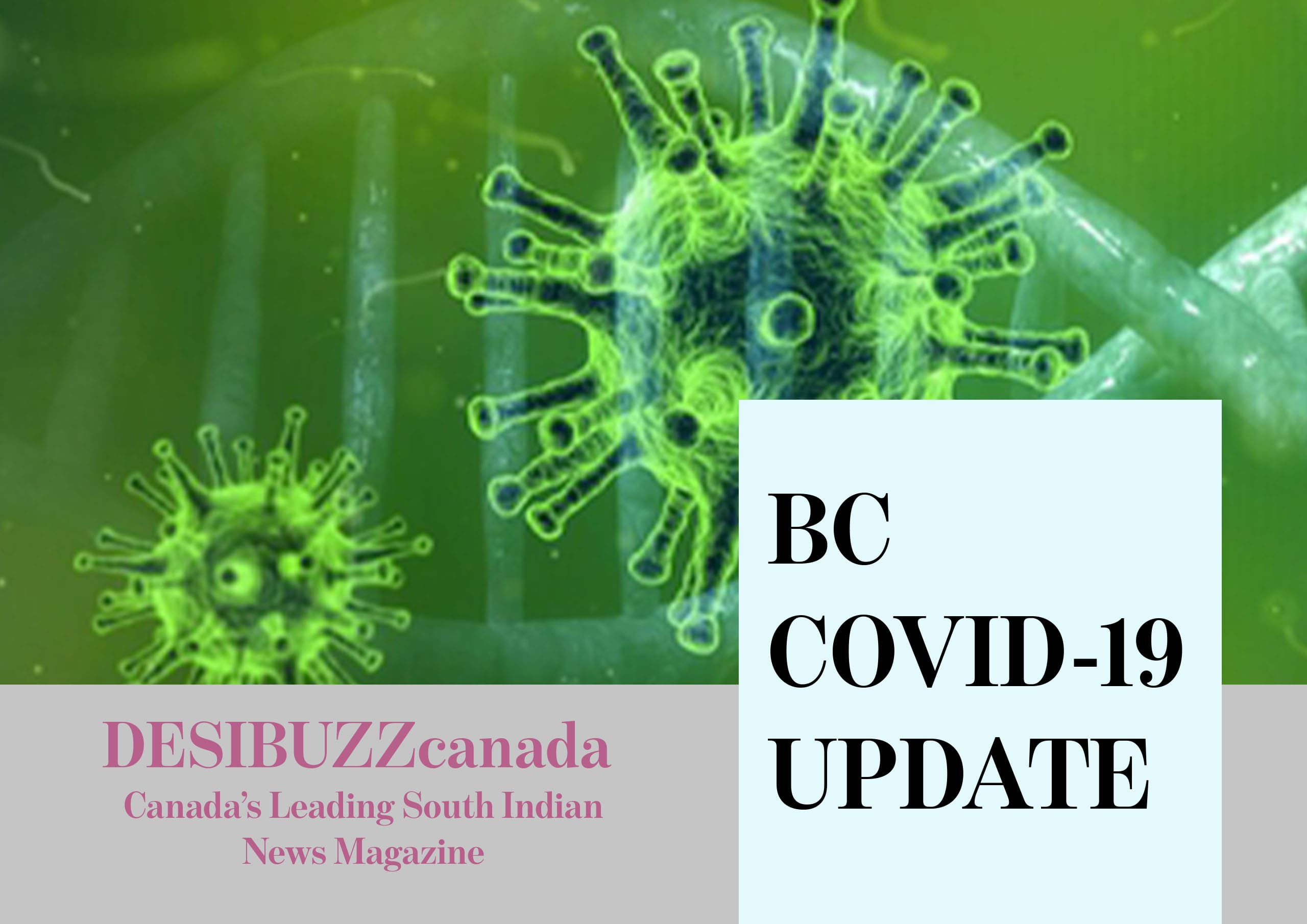 BC COVID-19 DAILY UPDATE: Special Saturday Briefing Emphasizes Zero Guests At Home And No Large Gatherings