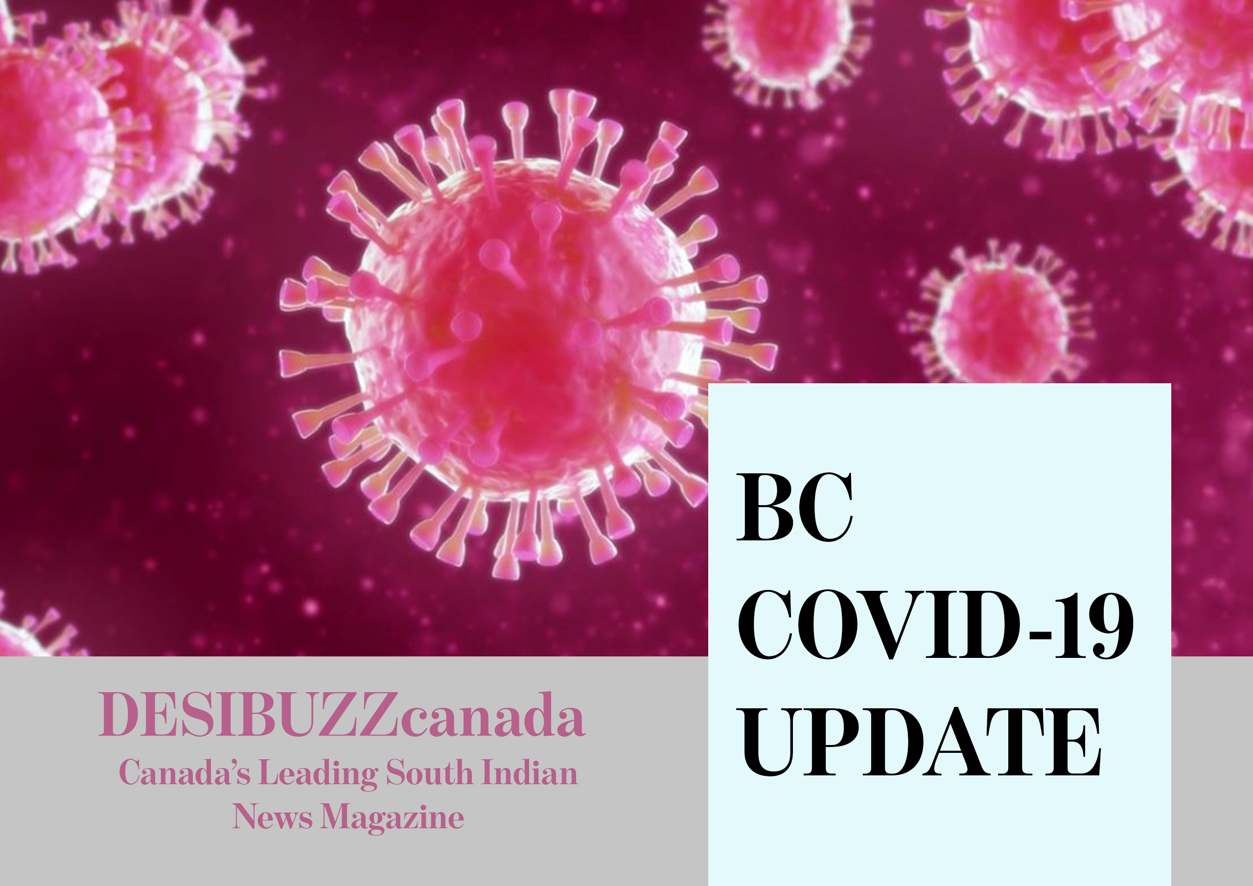BC COVID-19 DAILY UPDATE: Cases Are Coming Down But Deaths Are Going Up