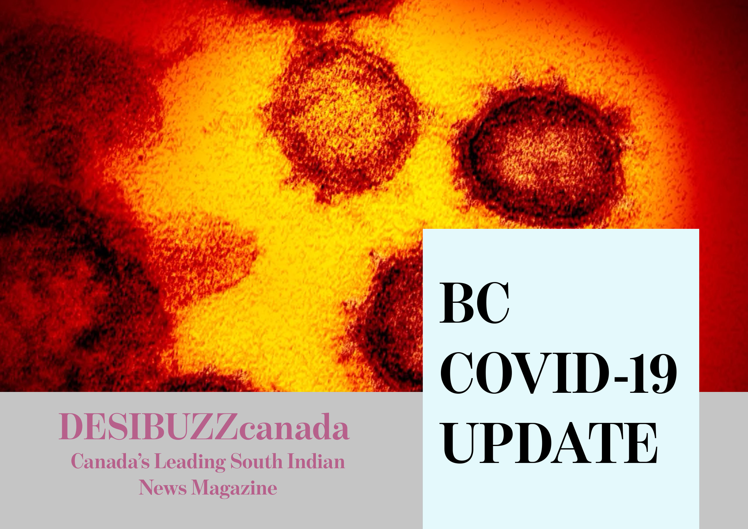 BC COVID-19 DAILY UPDATE: 12 New Deaths And 519 Cases Announced Wednesday
