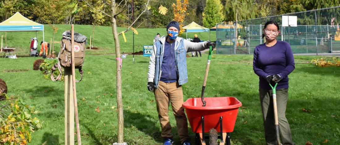 Surrey Gets Tree City Designation For Second Consecutive Year