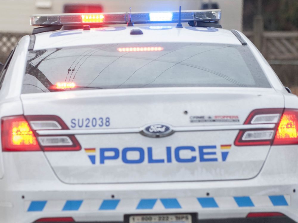 Two Alleged Newton Armed Robbery Suspects Arrested By Burnaby RCMP
