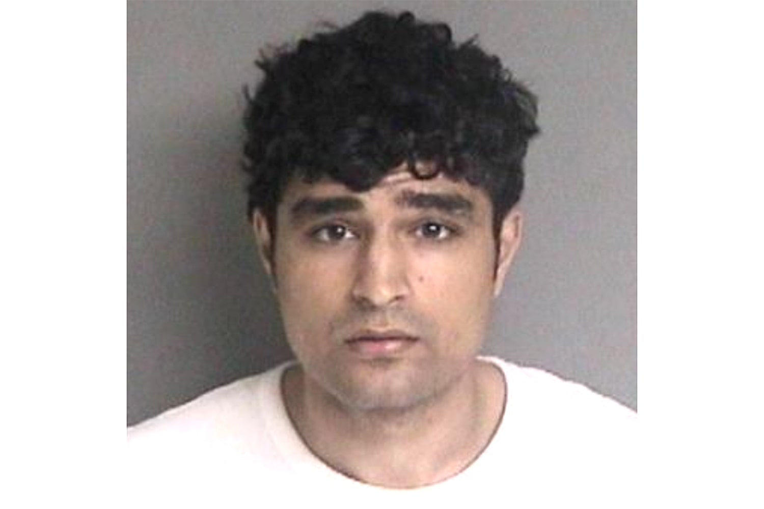 Indo-American Man Busted For Riding In The Backseat Of His Driverless Tesla