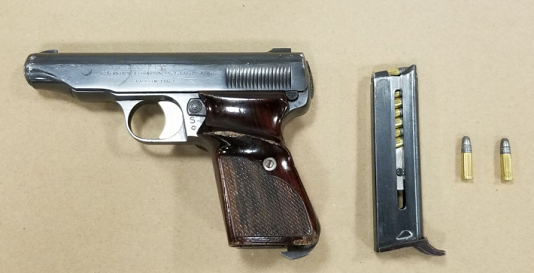 Surrey RCMP Arrests Two, Seizes Gun During Traffic Stop