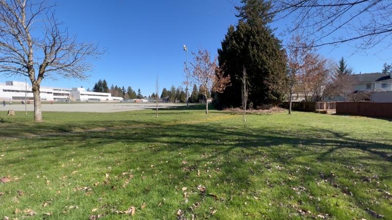 Surrey Police Investigating Multiple Indecent Acts By South Asian Man Near Newton School