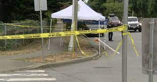 IHIT Seeks Witnesses To A Fatal Stabbing In Surrey Thursday Night