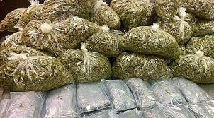 Two Indo-Canadians Among Those Busted In $67 Million Drug Bust